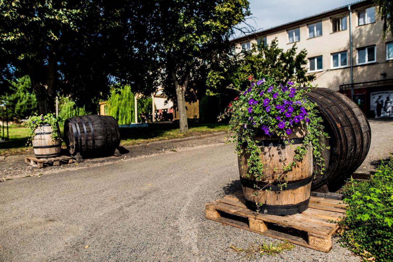 Ubytovani Ve Vinarstvi Zd Nemcicky Exterior photo